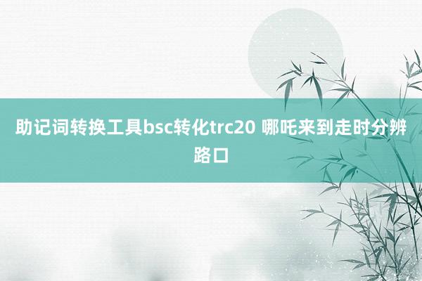 助记词转换工具bsc转化trc20 哪吒来到走时分辨路口