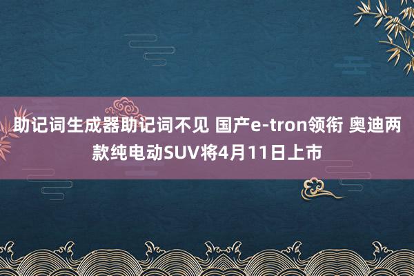 助记词生成器助记词不见 国产e-tron领衔 奥迪两款纯电动SUV将4月11日上市